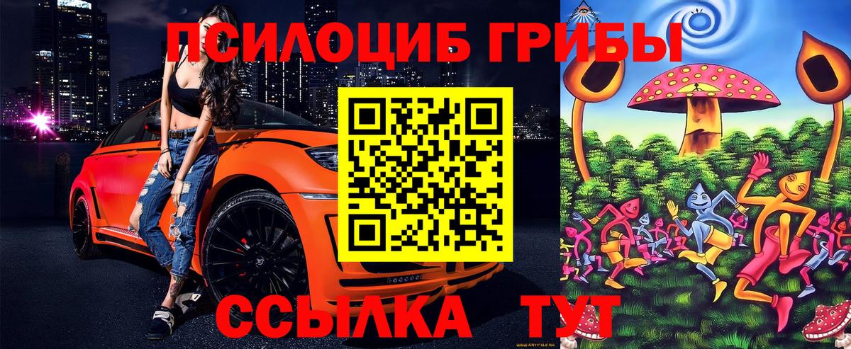 Тобольск  Галлюциногенные грибы MAGIC MUSHROOMS  Вход с VPN  Галлюциногенные грибы Magic Shrooms 