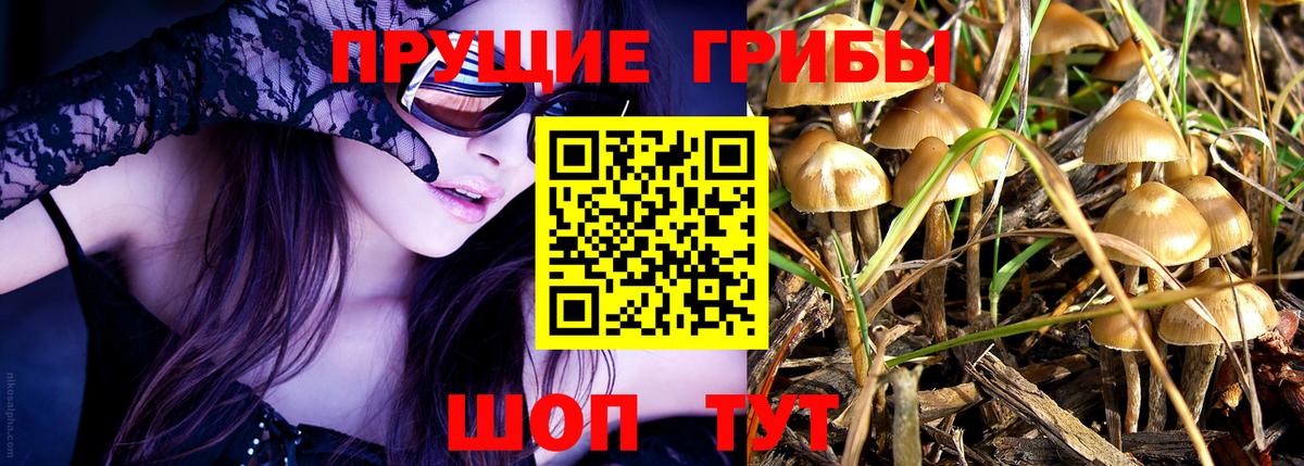 Псилоцибиновые грибы GOLDEN TEACHER Тобольск
